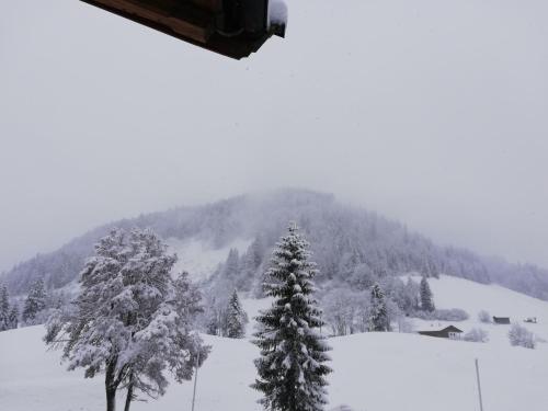 Alpengasthof Almrose im Heutal