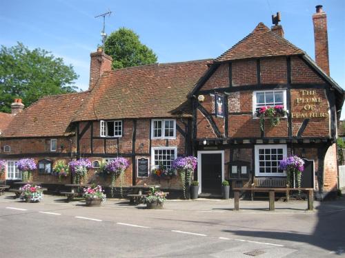The Plume of Feathers - Accommodation - Farnham