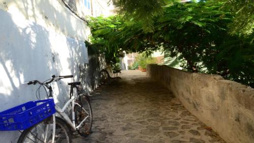 Apt. Orone Nº 3