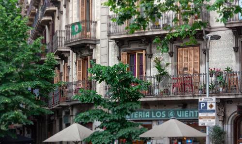 Primavera Hostel - image 13