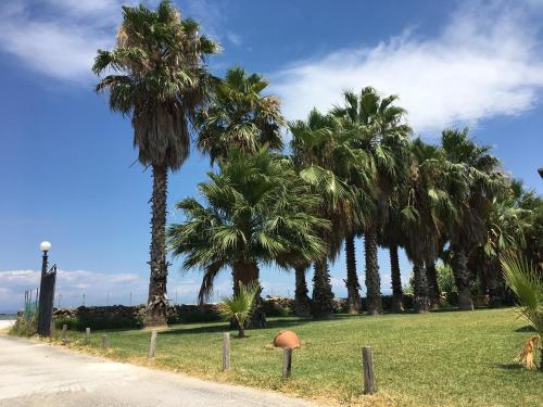 Villagio - image 4