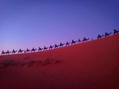 Desert Family Luxury Camp