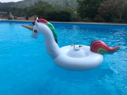  Swimming and Sun in Gandosso