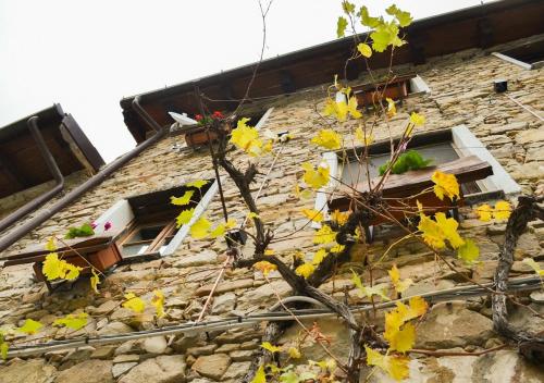  Il Cappellaio Matto in Montalto Ligure