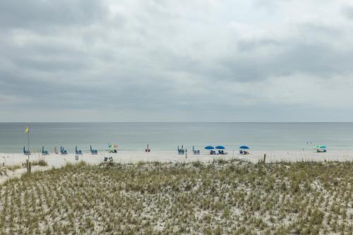 Seacrest #202 - image 4