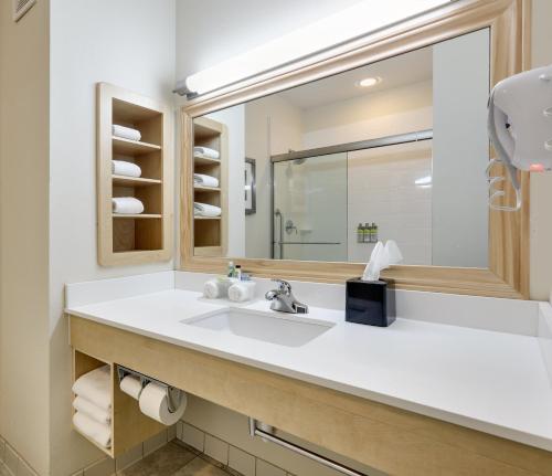 Holiday Inn Express & Suites San Antonio - Brooks City Base By IHG - 화장실