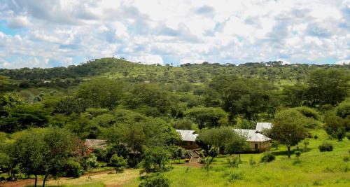 Teen Ranch Kenya