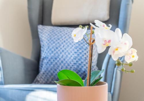 The Waverley Park Terrace Residence - image 13