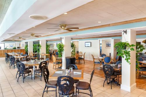 Holiday Inn Key Largo an IHG Hotel - image 5