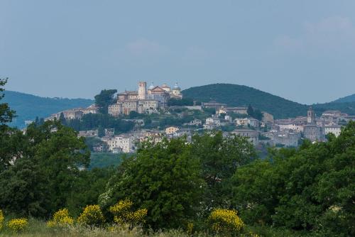 Villa Sofia enjoy staying together again in pure nature - image 3