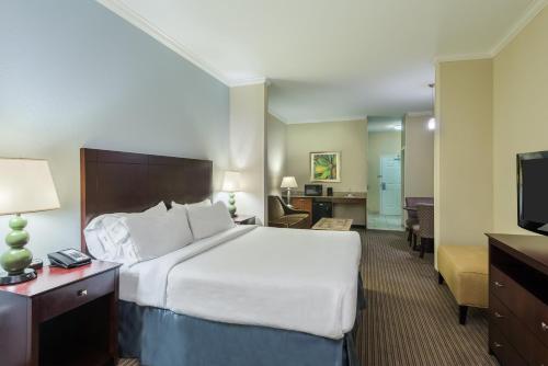 Holiday Inn Express Hotel & Suites New Iberia - Avery Island