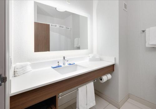 Holiday Inn Express & Suites MITCHELL Room Type - 1 King Suite