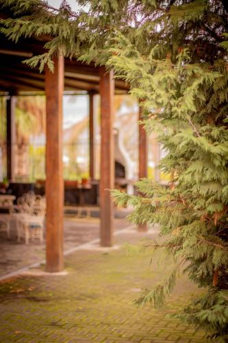 Valle Degli Ulivi Motta Santanastasia Prenotazione On