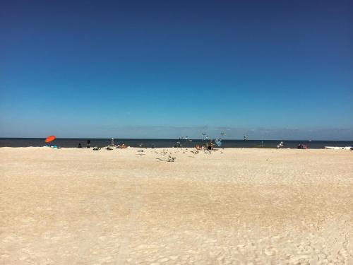 Charming Condo with Pool - Walk to Beach & Pier condo - main image