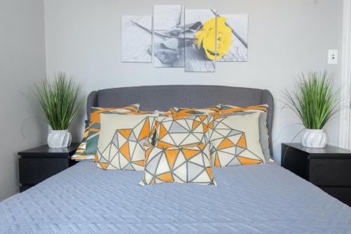 Philly Coed Dorm!! 15 Min Train to Center City!! detail