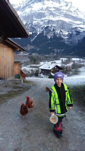 Chalet Bärgblick, Grindelwald (foto 8)