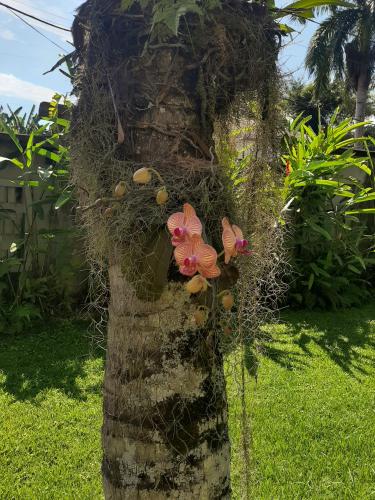 Casa Pomar do Aconchego