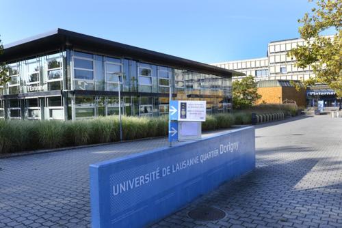 Le Yanis - image 8