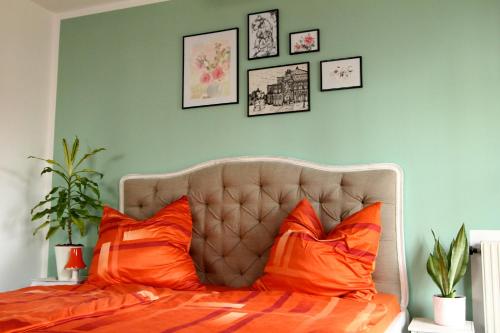 Apartment / Flat / Wohnung im Herzen von Dresden, Drážďany (fotografie 2)