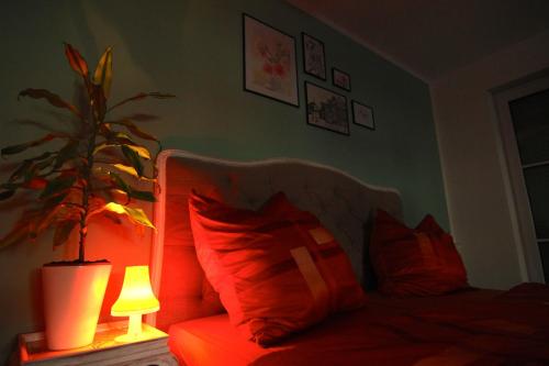 Apartment / Flat / Wohnung im Herzen von Dresden