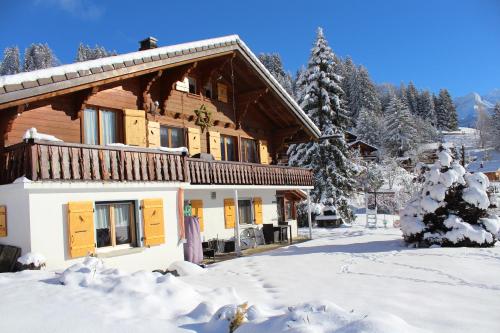 Chalet Le Slalom - Apartment - Arveyes