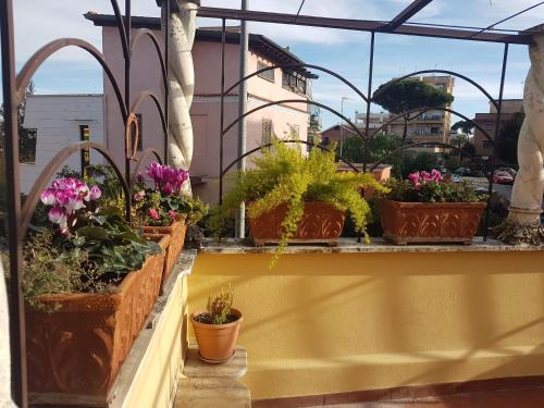 La casetta di Anastasia, Roma (foto 5)