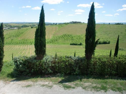 Apartments in Cerreto Guidi/Toskana 23873