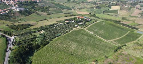 Apartments in Cerreto Guidi/Toskana 23873