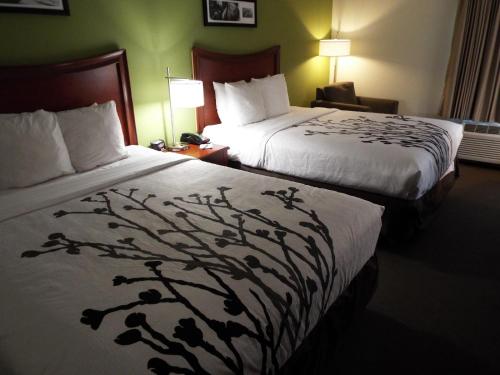 Double Room with Two Double Beds - Non-Smoking