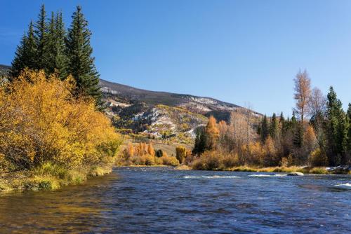 New Listing! New-Build Condo Near Shops & Dining condo - image 3