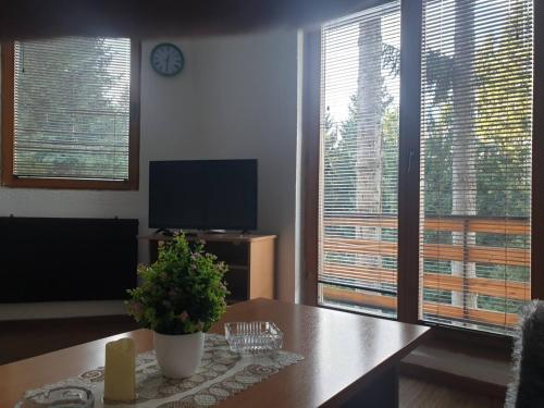 Apartments Villa Vlašić - image 6