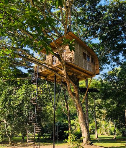 Casa del Arbol Colombia Tobia