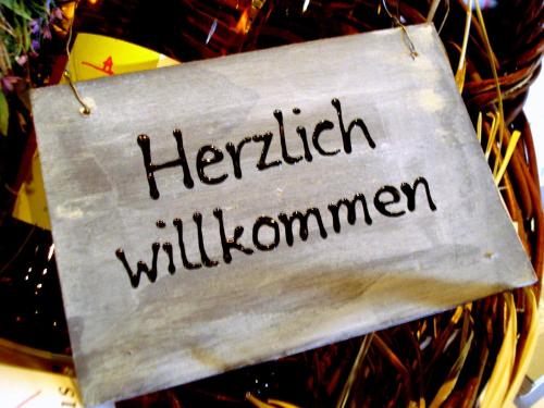 Hotel An der Linde - image 13