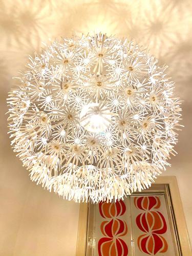 Apartment opera 1, Vídeň (fotografie 6)