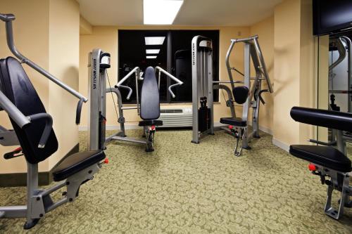 Holiday Inn Hotel & Suites Clearwater Beach an IHG Hotel - image 4