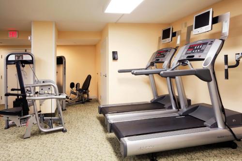Holiday Inn Hotel & Suites Clearwater Beach an IHG Hotel - image 5