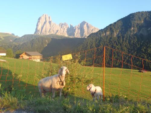 Albergo Somont 4