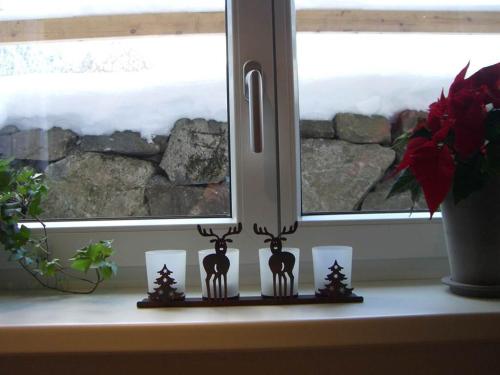 บริการและสิ่งอำนวยความสะดวก, Pfeifer Veronika in กัลเกนุล