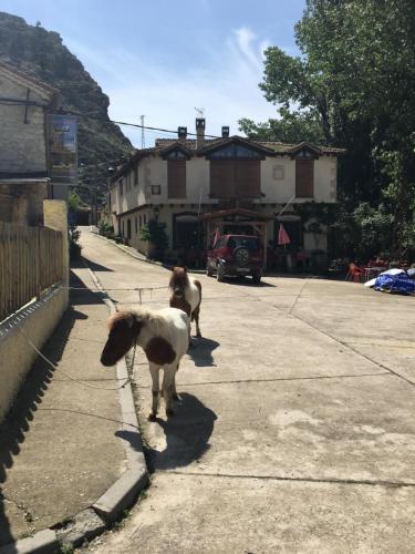  Hotel Rural Pantano de Burgomillodo in Burgomillodo
