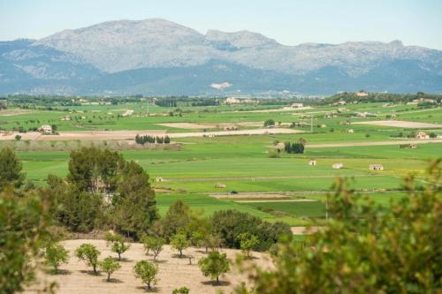 Woodhouse - image 11