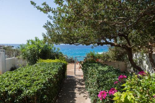 Cozy family house by the sea gîte à louer Houdetsi