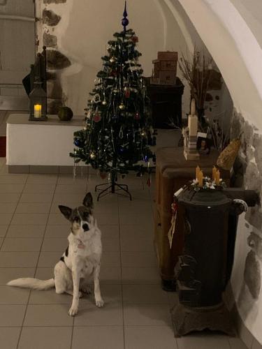 B&B al Capitello – Trento, TN