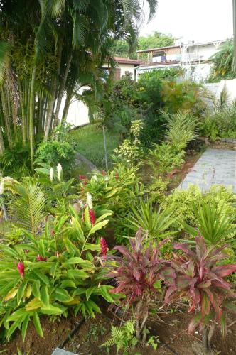 Douceurs Caraïbes, Gîte Balisier.