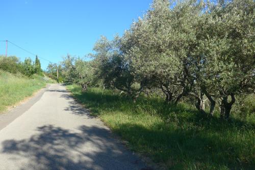 La Colline Bleue