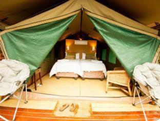 Amafu Forest Lodge Room Type - Luxury Tent