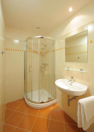 Congress & Wellness Hotel Olsanka, Прага (фото 8)