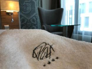 Hotel Perfect, Cracovie (photo 10)