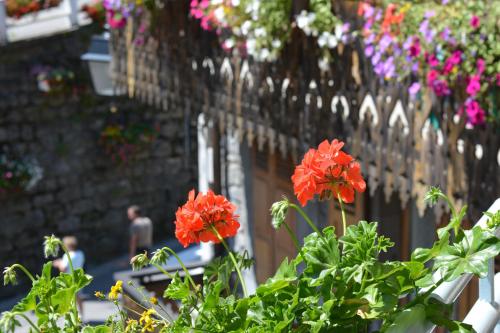 Hotel Rhodos Morzine Morzine