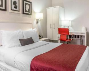 The Moore, New York City, a Member of Design Hotels, New York (foto 3)