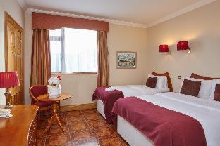Uppercross House Hotel, Dublín (foto 7)
